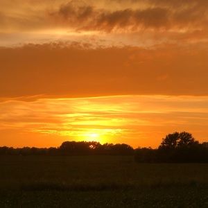 Meet your Posher, Shelby